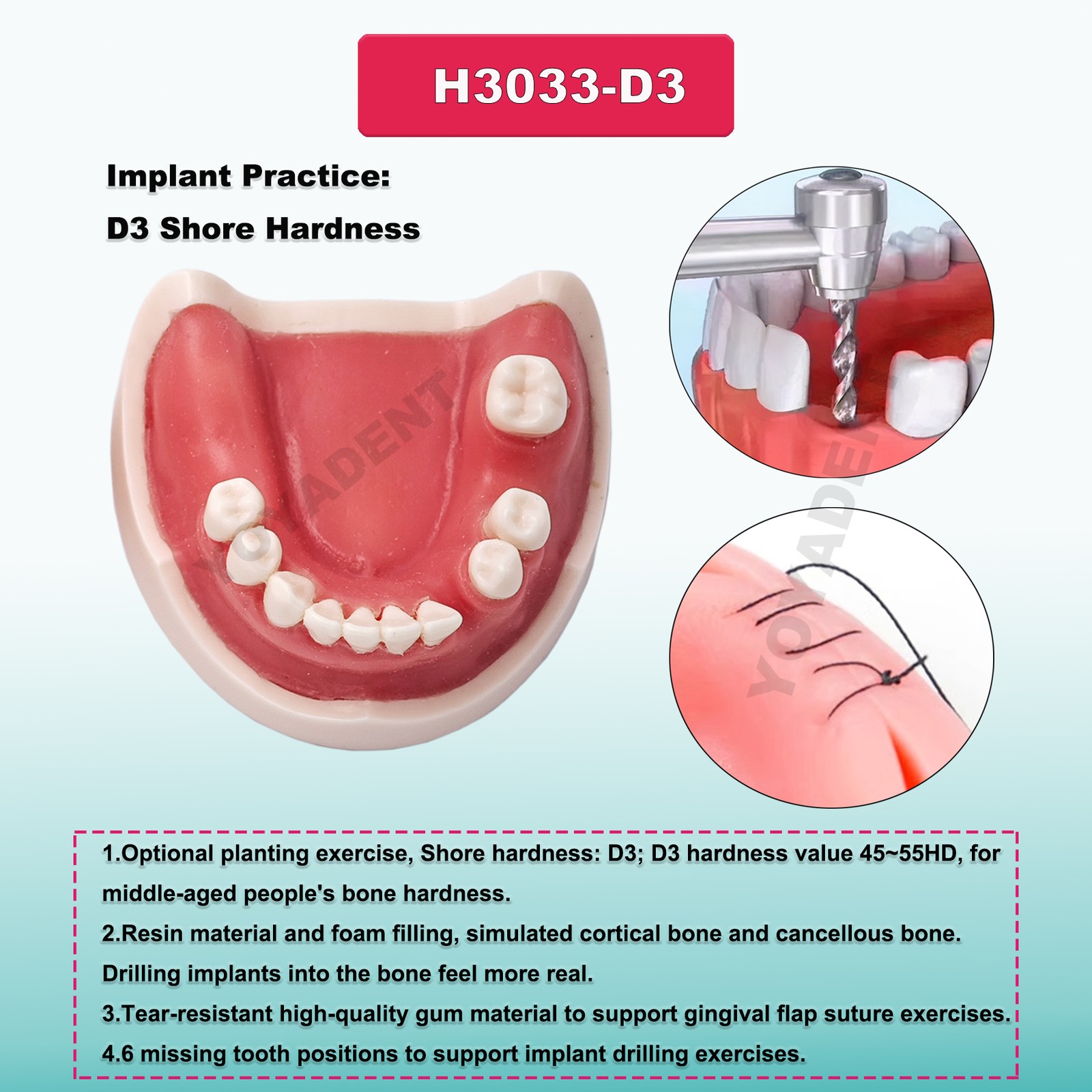 US Dental Teeth Model Implant Periodontal Disease Suture Drilling Training Demo