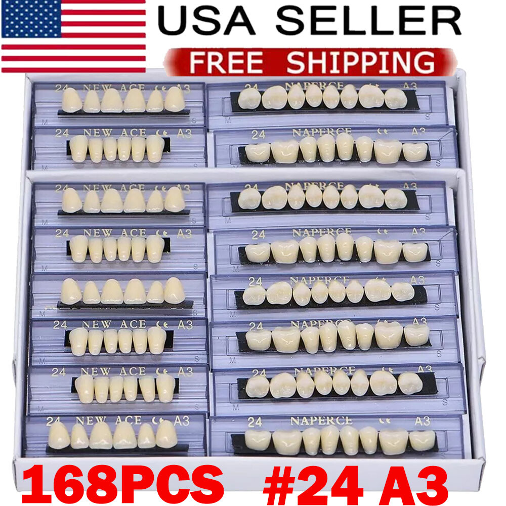 168Pcs Dental Acrylic Resin Denture A3#24 Shade Full Upper Lower False Teeth USA
