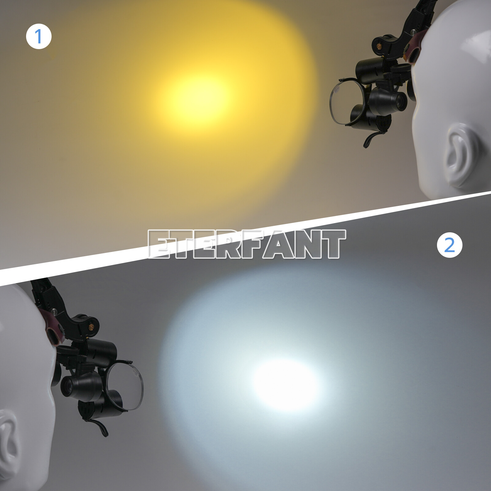 ETERFANT 3.5X Dental Surgical Headband Binocular Loupe w/5W LED Head Light 2 Led