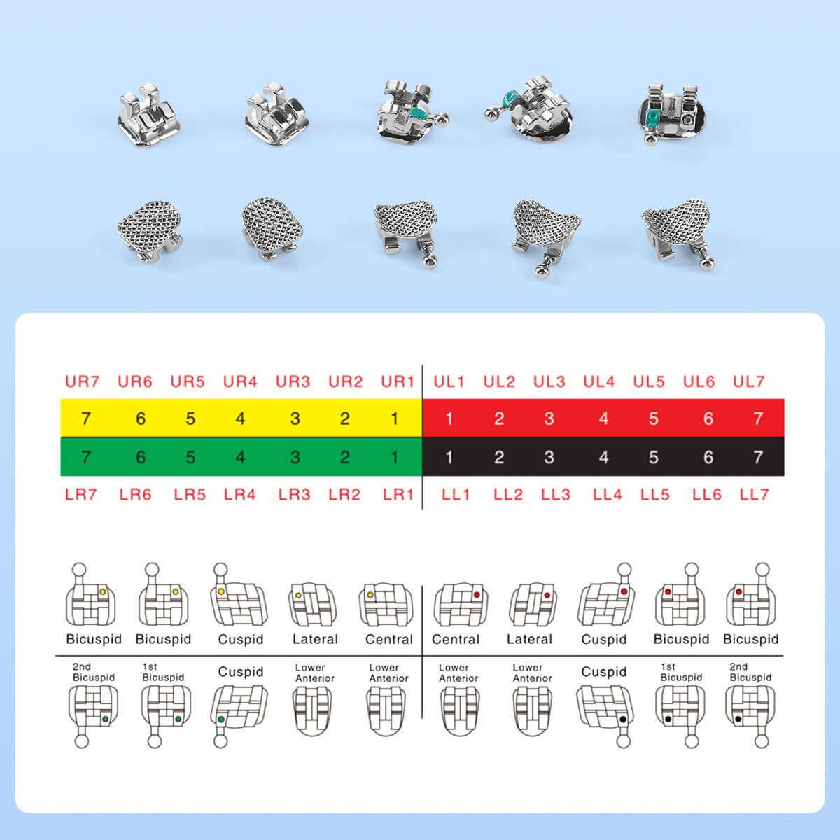 AZDENT PLUS Dental Orthodontic Brackets Braces Mini/Standard Roth/MBT 022/018