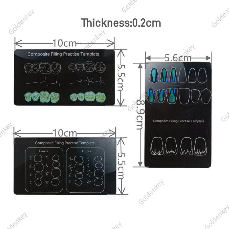 6Pc Dental Composite Resin Filling Model Dentist Build Up Teeth Morphology Board