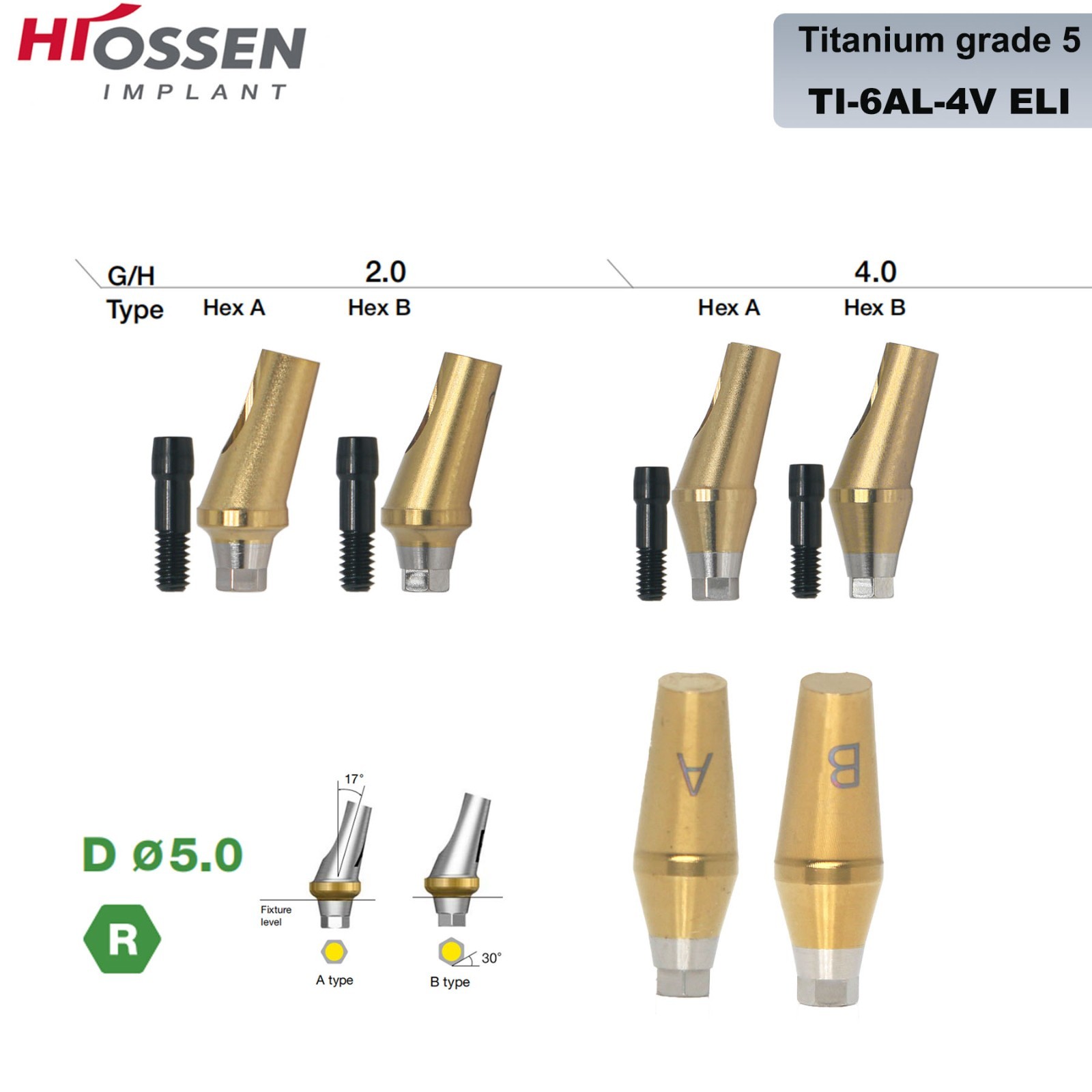 US 17° Dental Angled Anatomic Abutment Hiossen/Osstem TS Mini/Regular Platform
