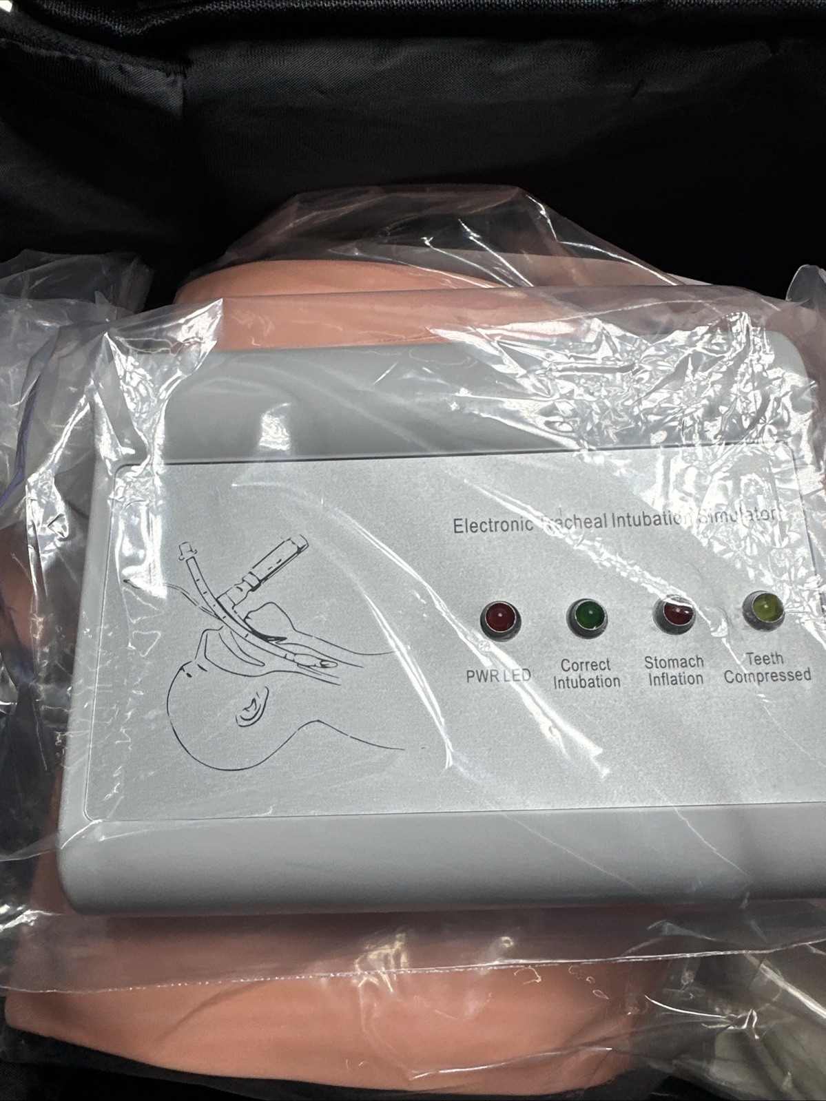 Airway Management Trainer Study Adult Oral Intubation Manikin Teaching Model ET