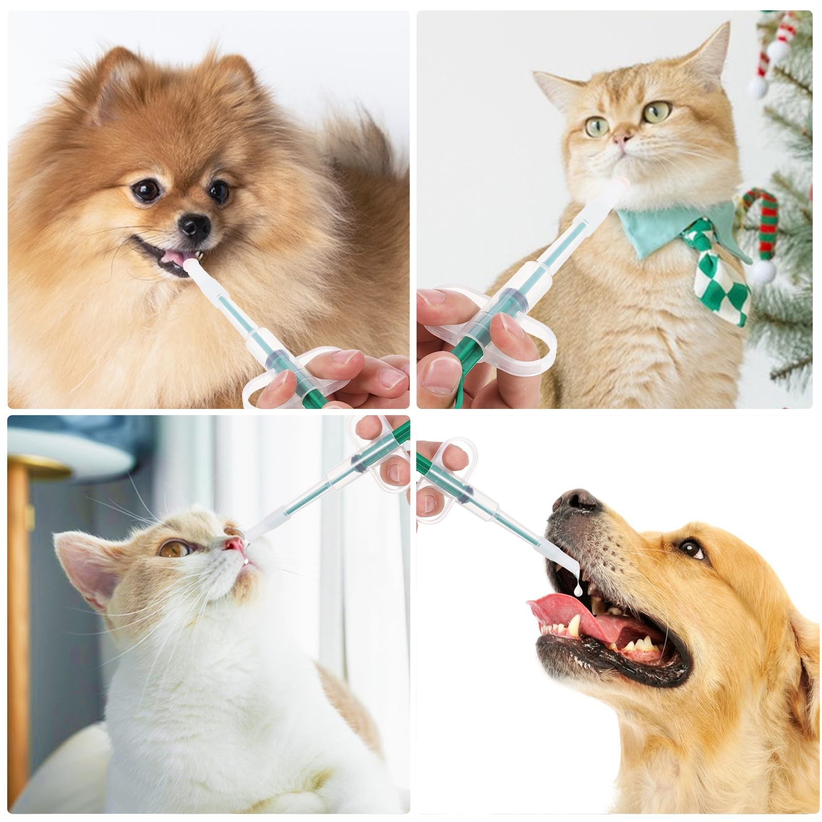 Oruola 3pcs Cat Pill Dispenser,Pet Shooter,Pills blue & red & green