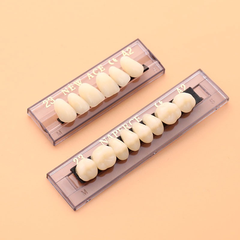 168PCS/6Sets Dental Synthetic Polymer Teeth Resin Denture Dental Teeth Dent-dx