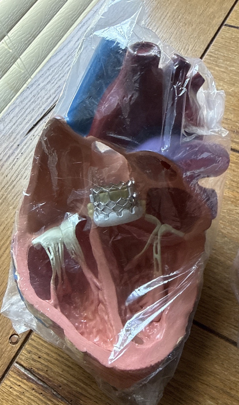 3D Model Anatomical Human Heart Drug Rep Plendil Pharmaceutical Advertising