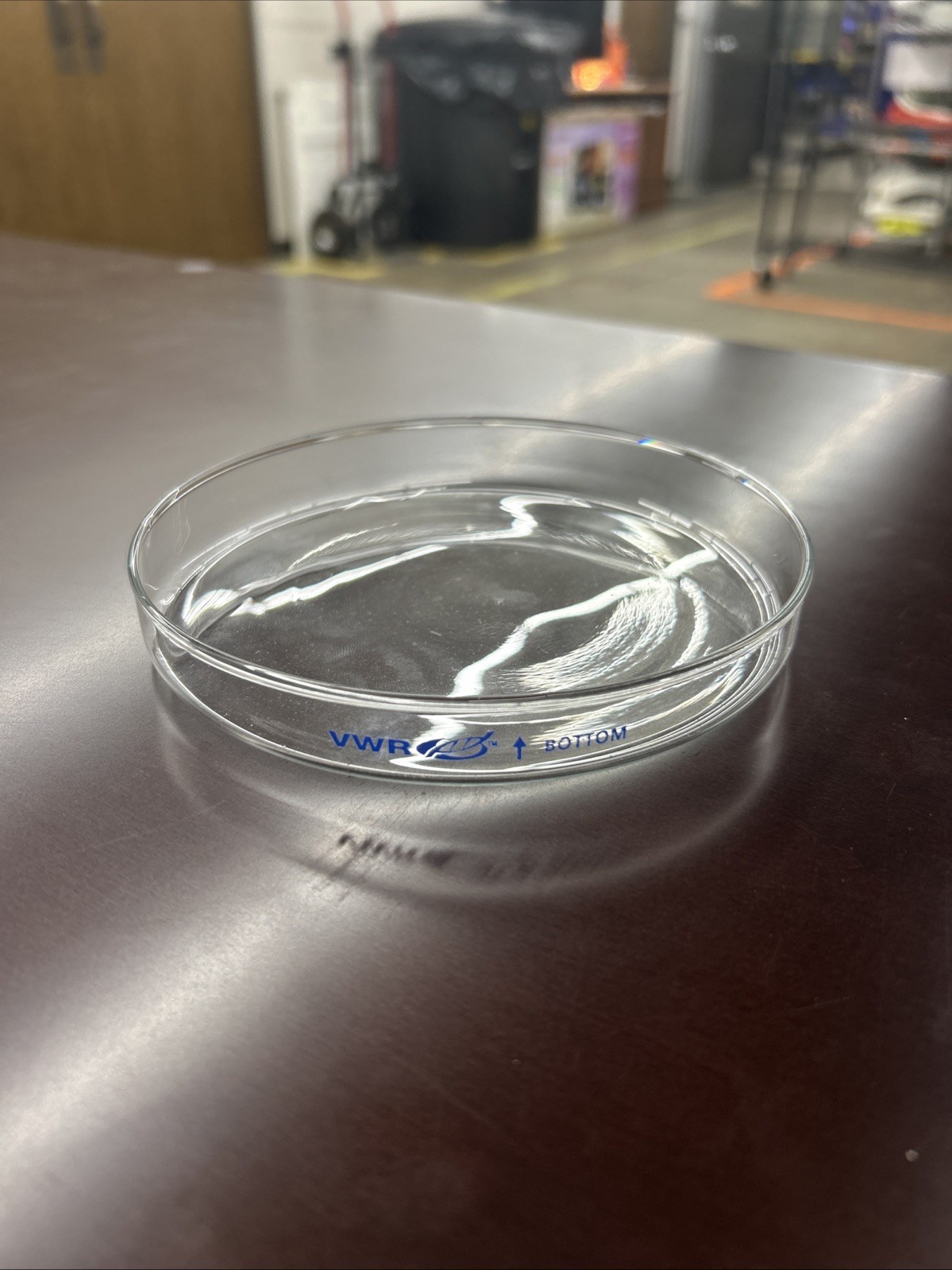 VWR 150mm Glass Petri Dish, Lot Of 8
