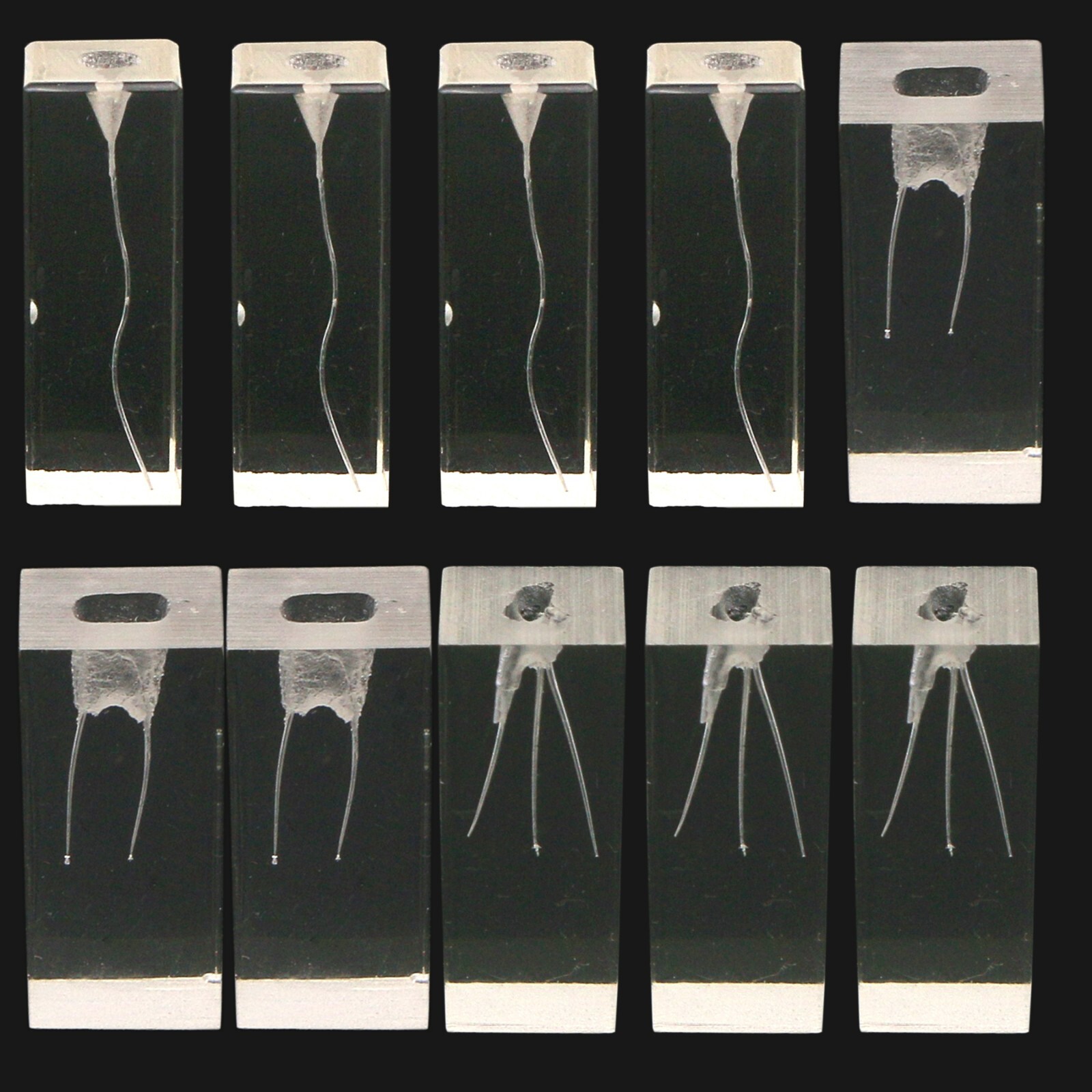 10PCS Dental Endodontic Root Canal Practice Models Endo Training Block Clear