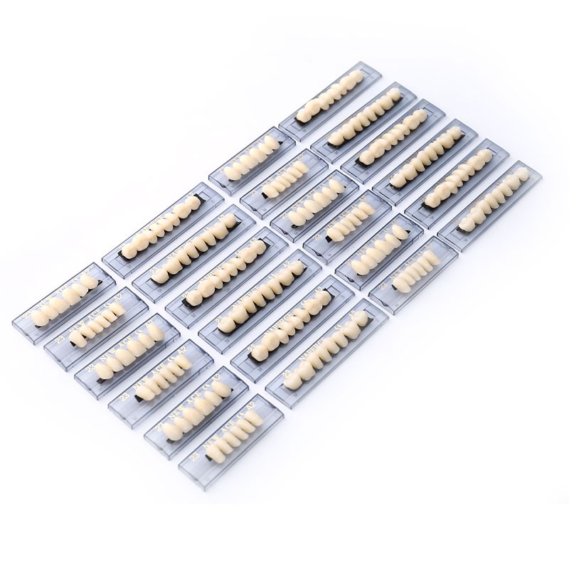 168PCS/6Sets Dental Synthetic Polymer Teeth Resin Denture Dental Teeth Dent-dx
