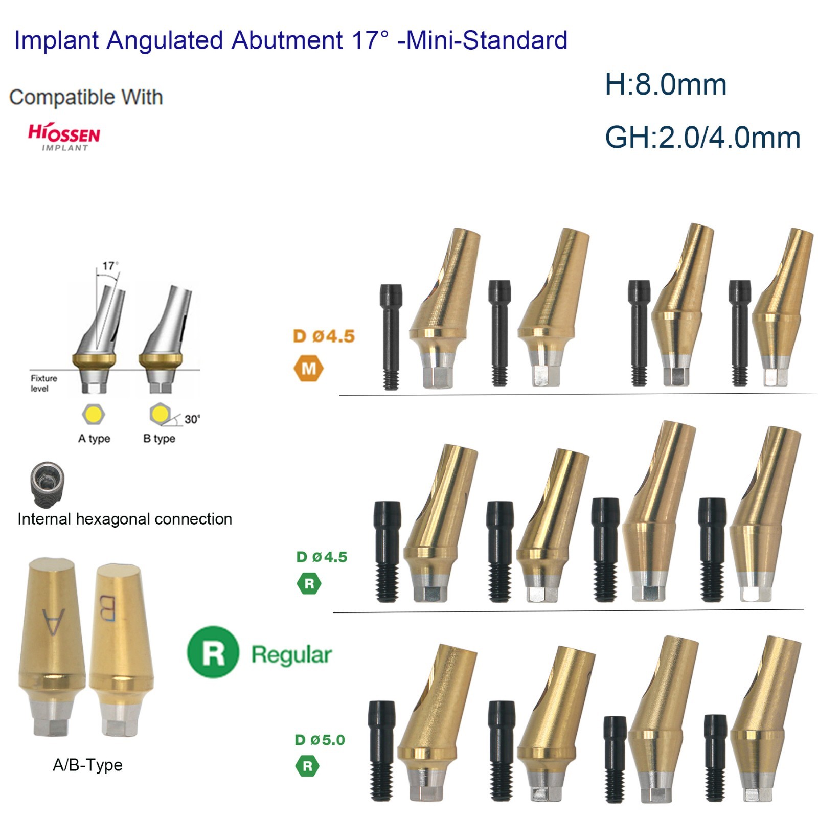 US Hiossen ET Dental Prosthetics Titanium All Implant Abutments fit Mini/Regular