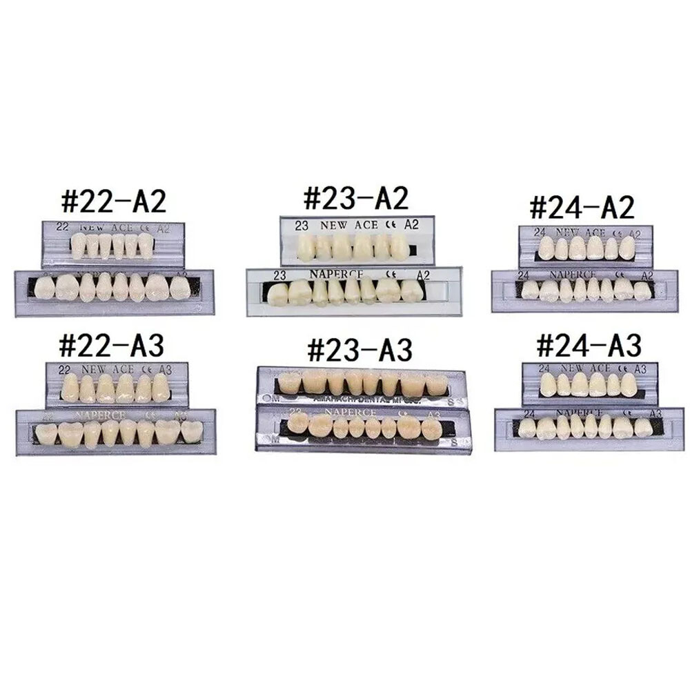 168X Acrylic Resin A1/A2/A3 Dental Denture Teeth Upper Lower Shade 22/23/24# HOT