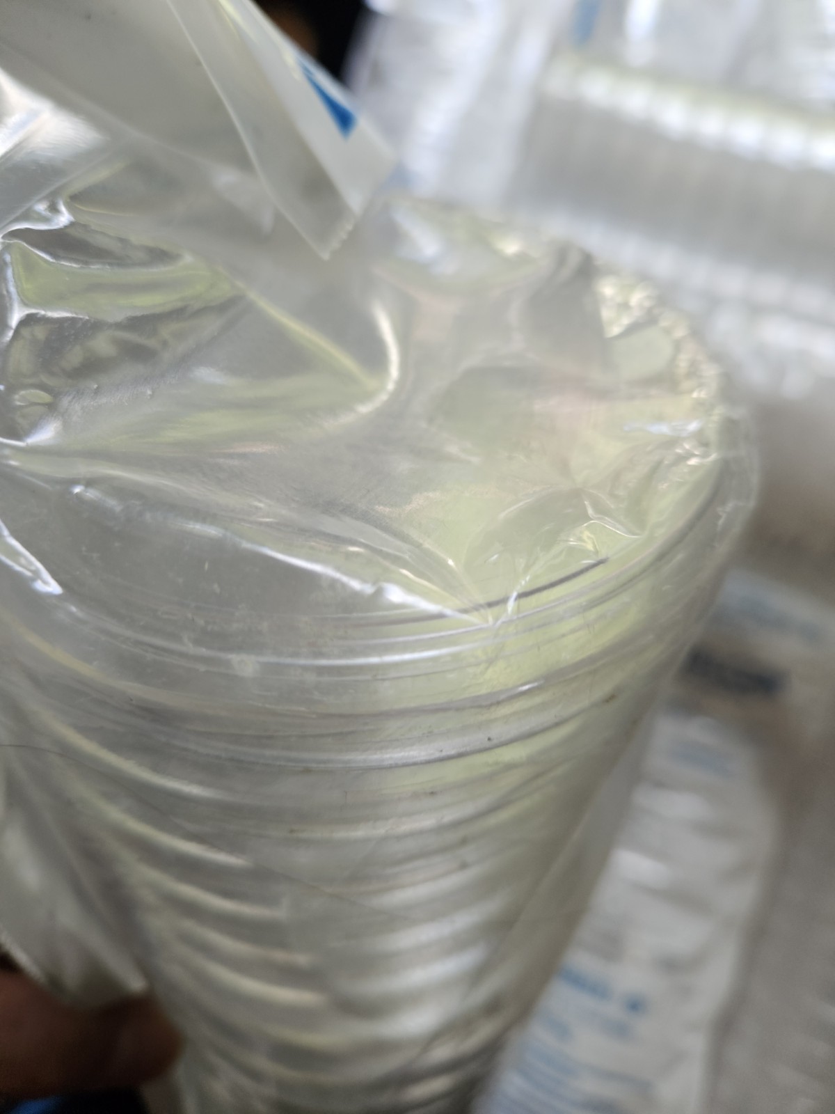New Falcon Corning 351029 Box of 13 100mm x 15mm Petri Dish 20 Per Pack 260 pcs
