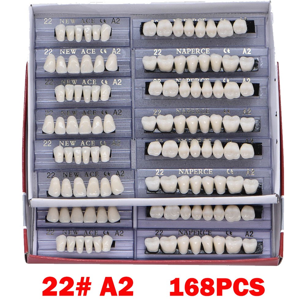 168PC Acrylic Resin Denture #22 Dental Upper Lower Shade A2 Teeth Set 22# A2 US
