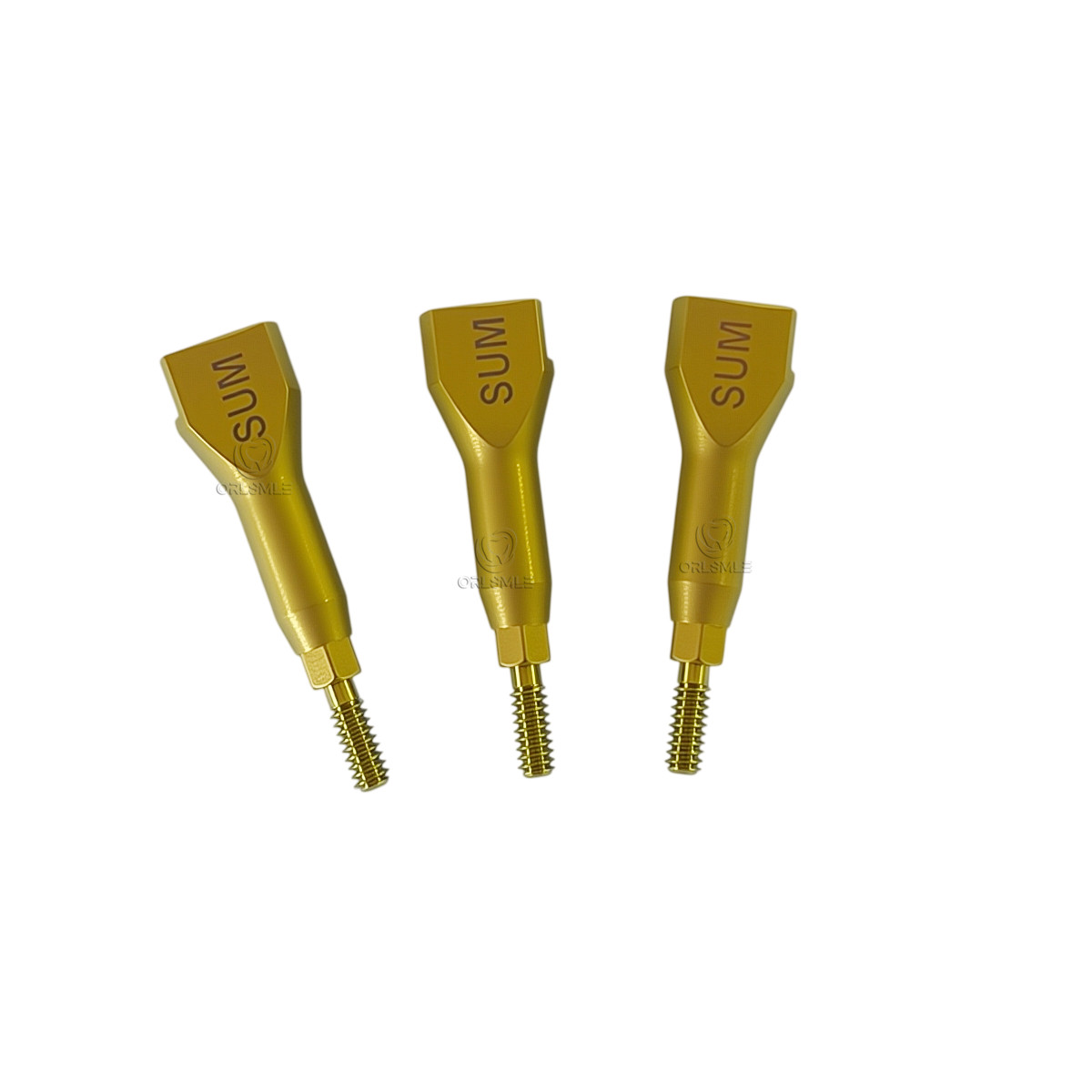 10pcs Hiossen Osstem GS/TS compatible Dental Scan Body cad/cam Mini Regular
