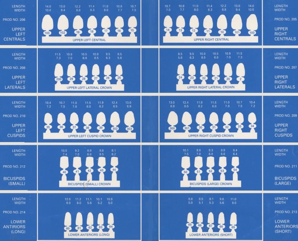 DENTAL POLYCARBONATE TEMPORARY CROWNS #25 (ULL) UPPER LEFT LATERAL 5/PACK