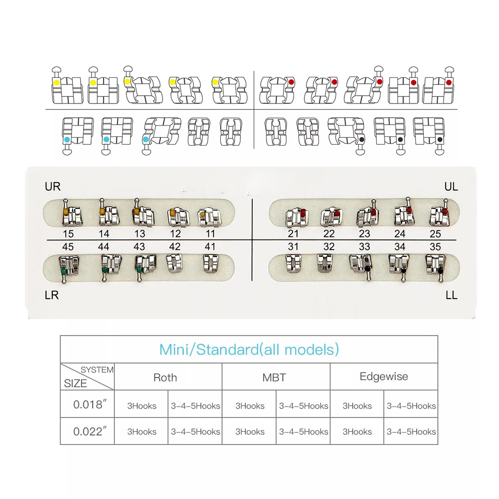 MacDent Dental Orthodontic Brackets Braces Mini Roth MBT Slot 022/018 Hooks 345