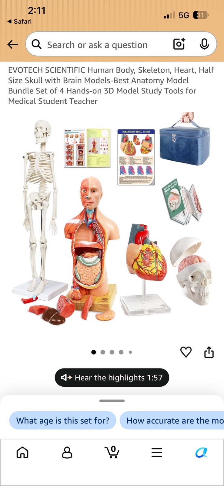 EVOTECH Scientific Human Anatomy Model Bundle Torso Skeleton Heart Brain Set