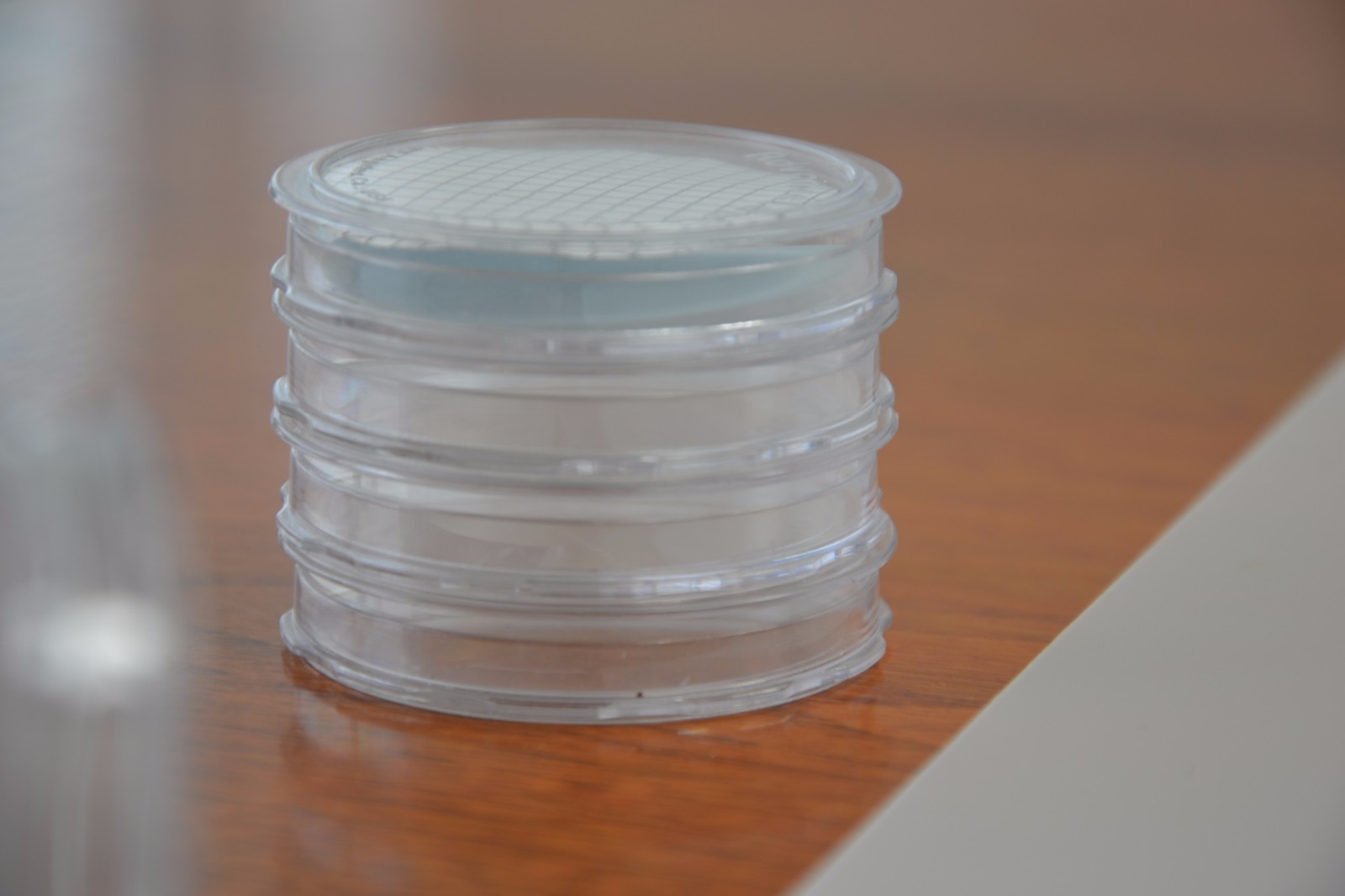 [Set of 20] Petri Dish 50x9mm Disposable Clear Bacterial Plate w/ Tight Light