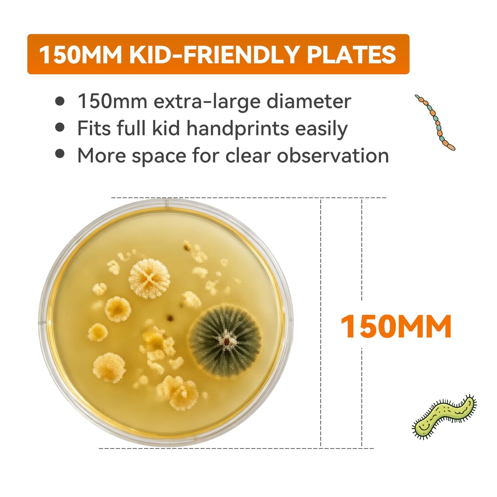 Kids Bacteria Handprint Kit – 2 Giant 150mm Prepoured Agar Petri Dishes