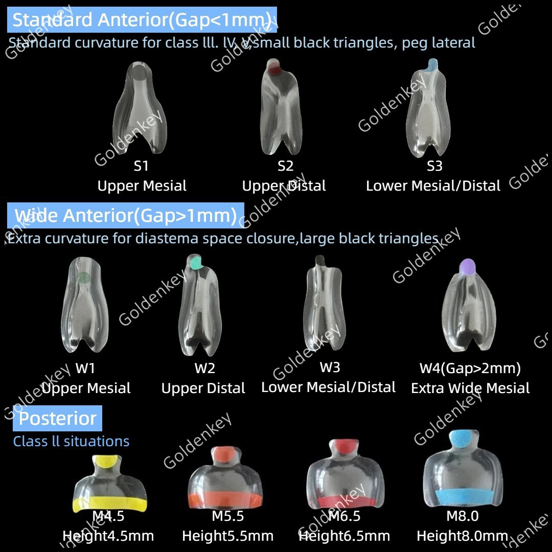 Transparent Matrix Bands Clear Dental Bow Matrice Band Anterior Front Bioclear