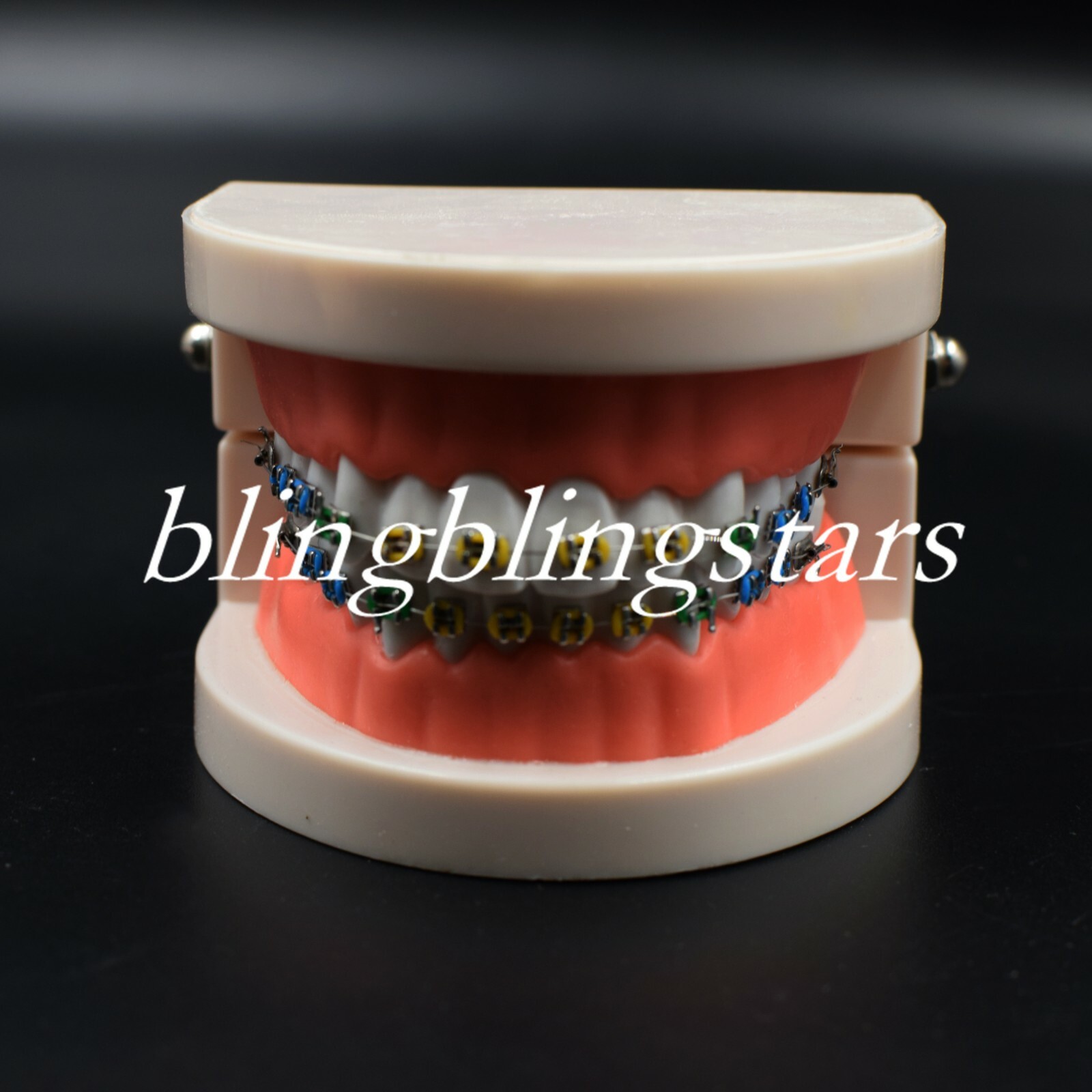 Dental Orthodontics Standard Tooth Model Bracket Ligature Buccal Tube Tie