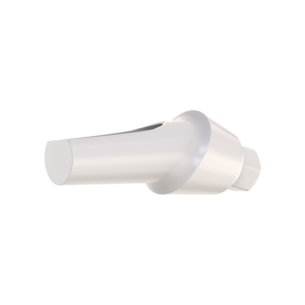 1pcs DSl Angulated Abutment Anatomic Peek With Screw 15° Internal Hex