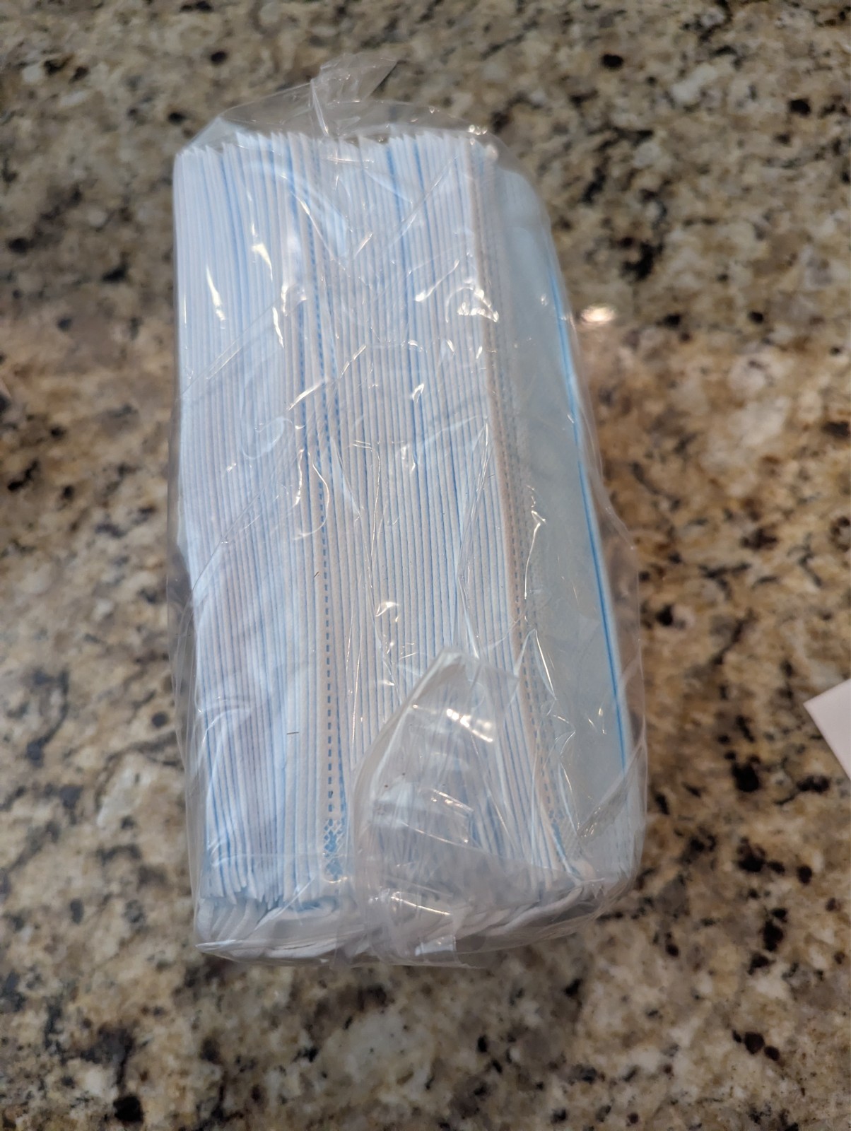 Walgreens Ear Loop Face Mask Adult Size Blue 50 count
