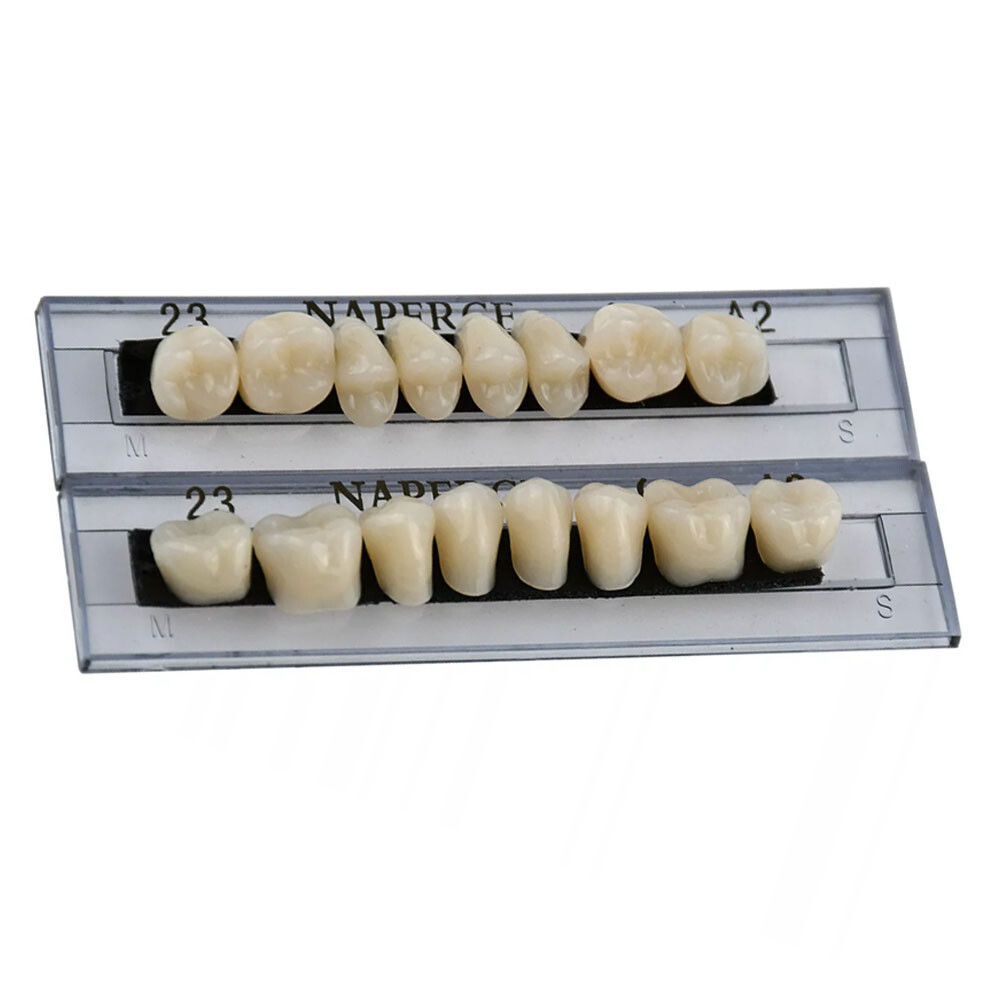 168Pcs/Box Acrylic Resin Denture #23 Dental Upper Lower Shade A2 Teeth Set US