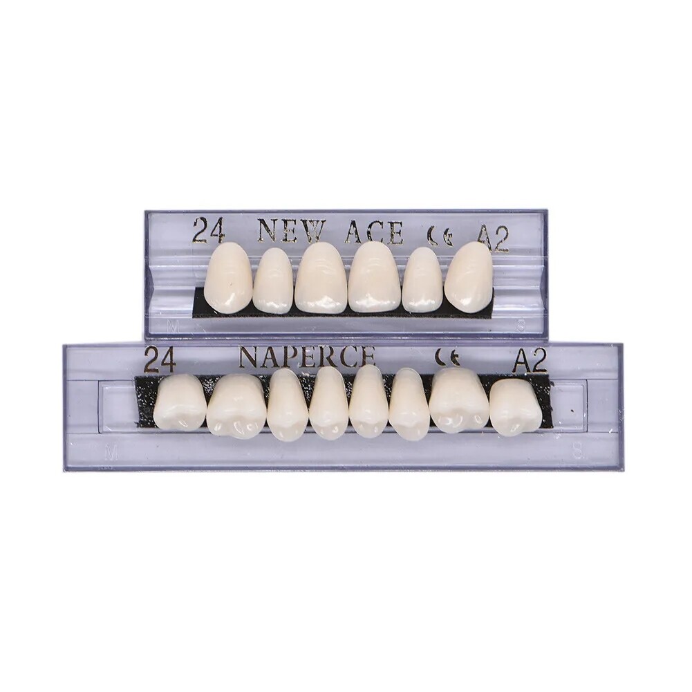 168X Acrylic Resin A1/A2/A3 Dental Denture Teeth Upper Lower Shade 22/23/24# US