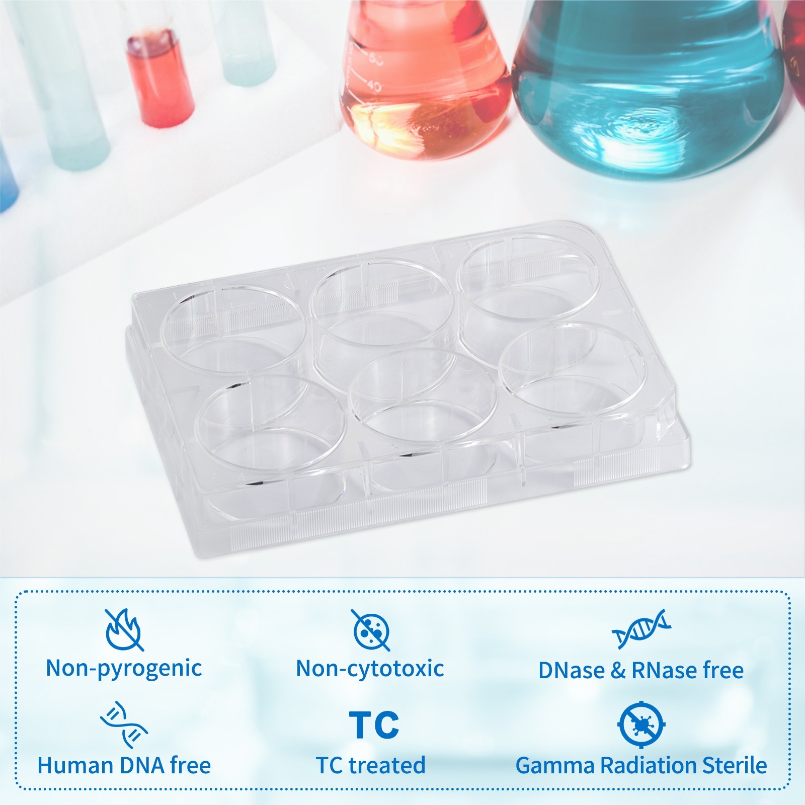 6-Well Polystyrene Cell Culture Plates with Lids, Individual Wrapped Plates, Ste