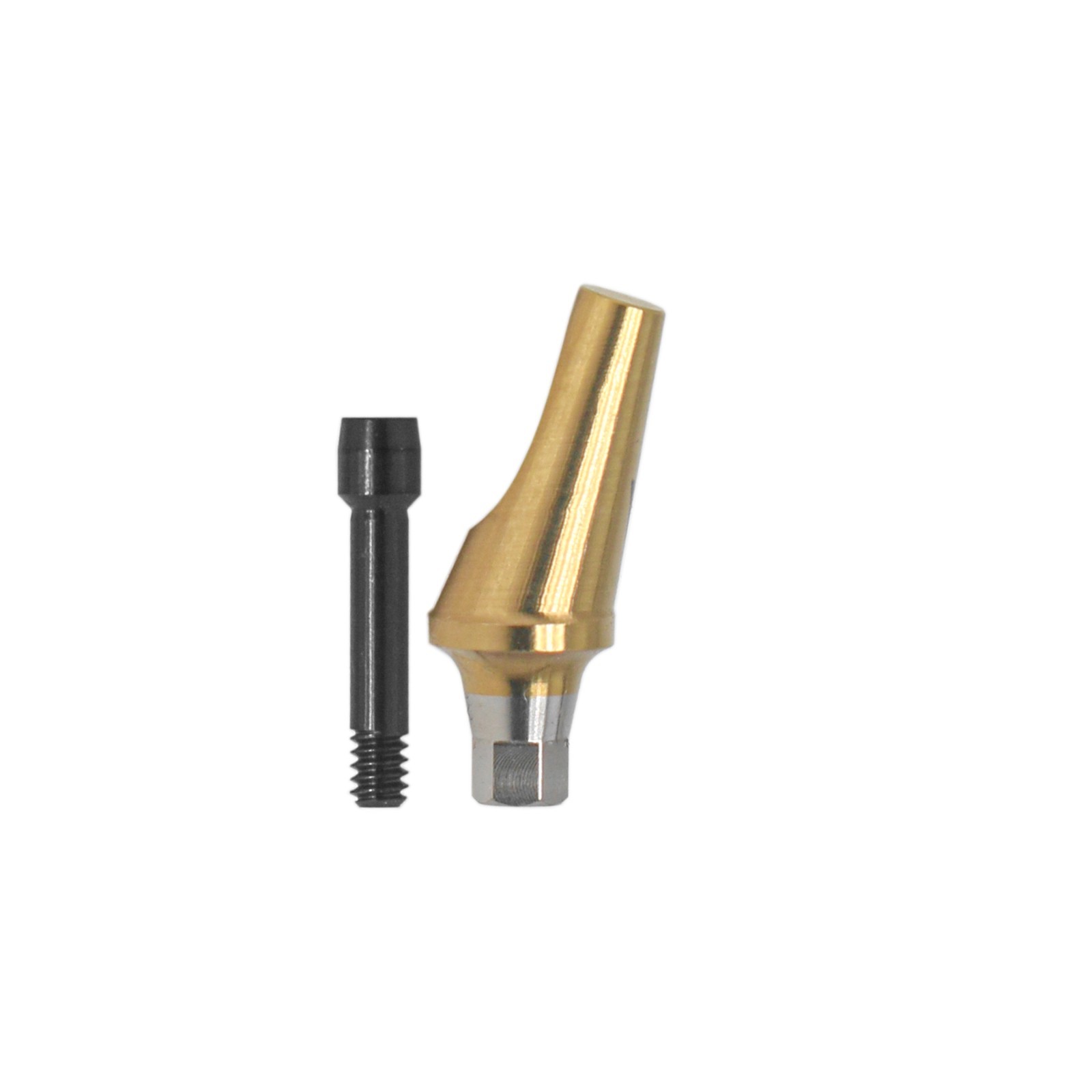 US Dental 17° Angled Anatomic Abutment Mini /Regular Fits Hiossen Osstem TS