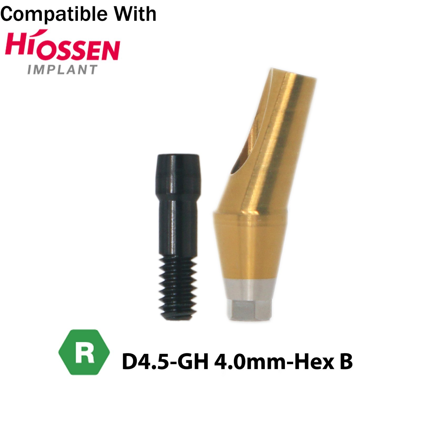 Dental 17° Angled Anatomic Abutment Mini /Regular Fit Hiossen Osstem TS Platform