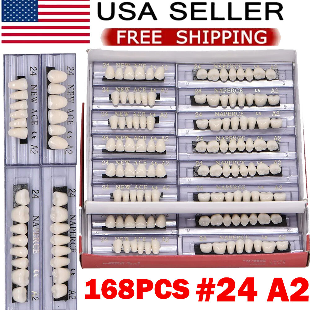 168Pcs/Box Acrylic Resin Denture #24 Dental Upper Lower Shade A2 Teeth Set US