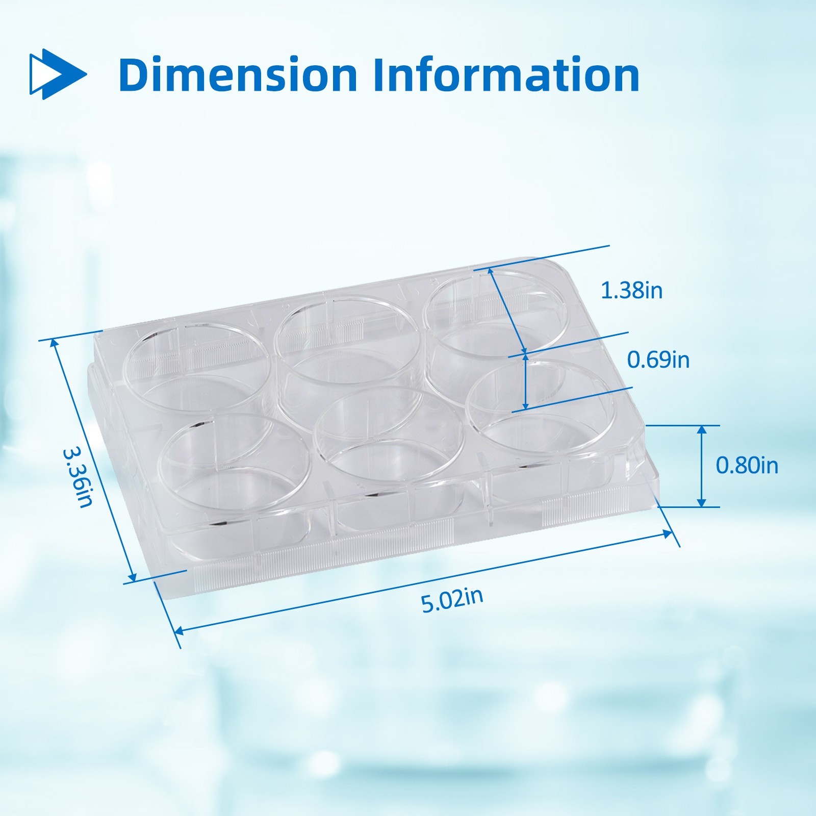 6-Well Polystyrene Cell Culture Plates with Lids, Individual Wrapped Plates, Ste