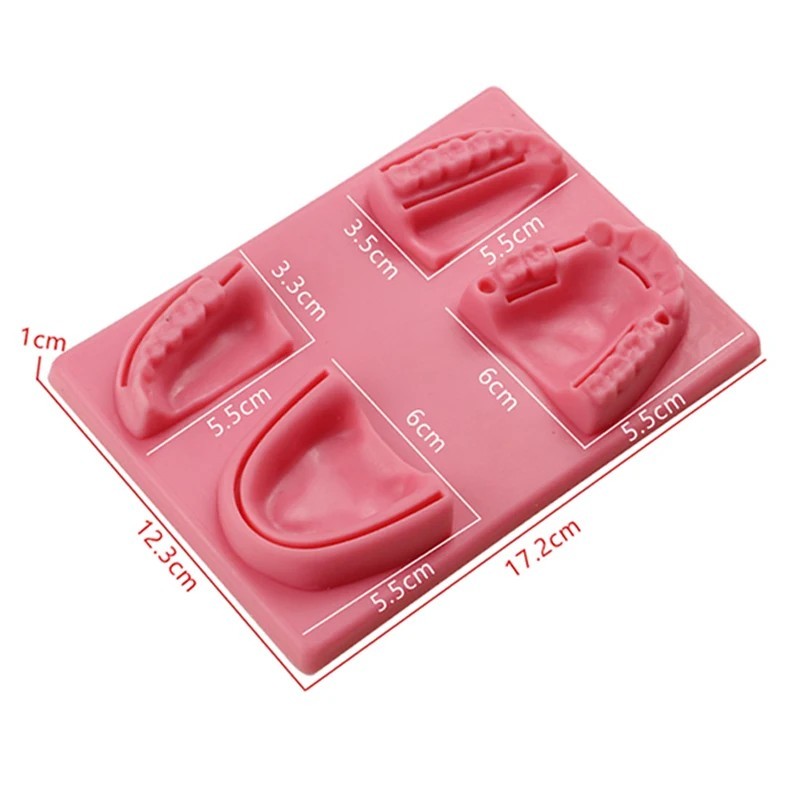 Dental Oral/Gum Suture Training Pad Silicone Periodontitis Suture Model