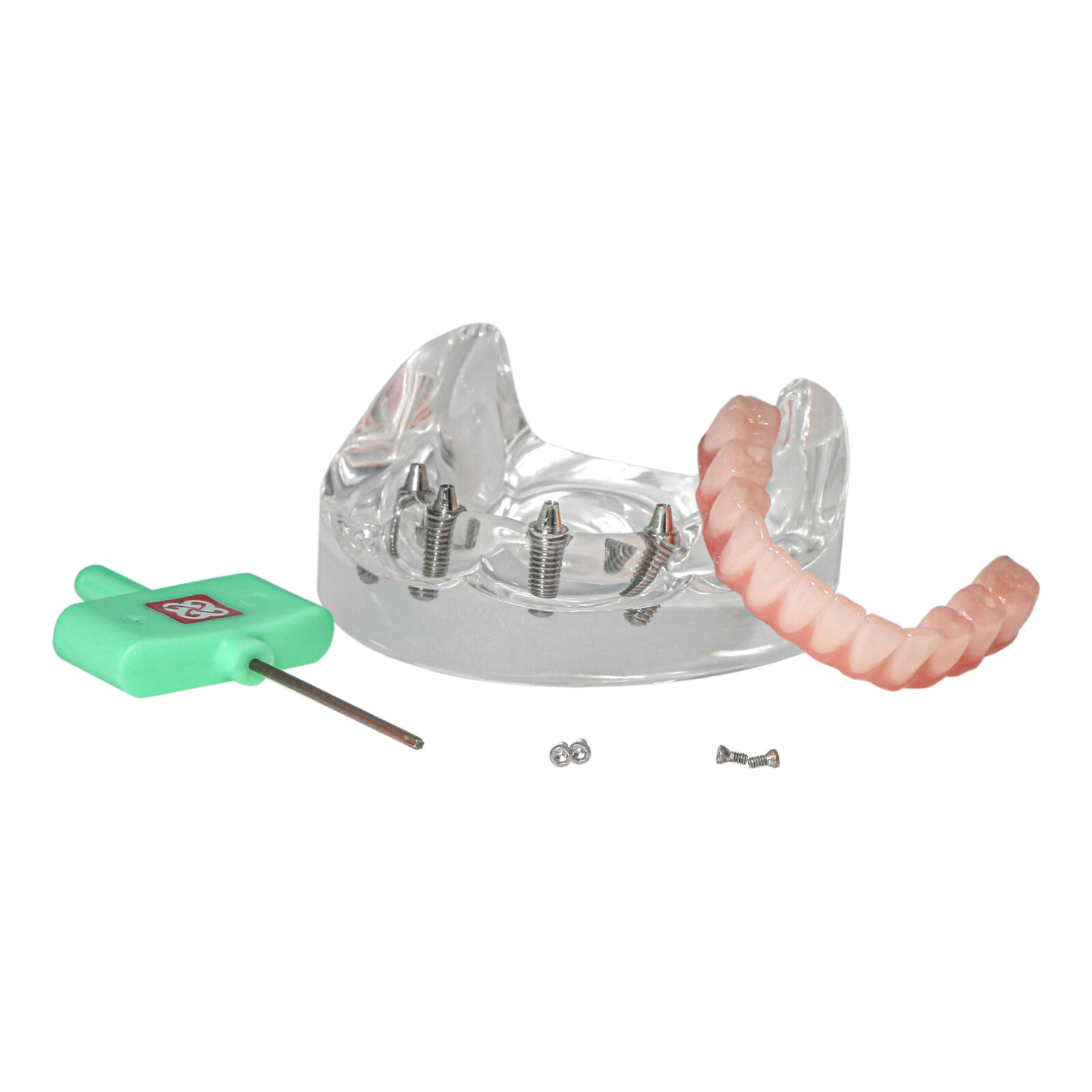Dental 4 Implants Upper&Lower Demo Implant Teeth Model Restoration Overdenture