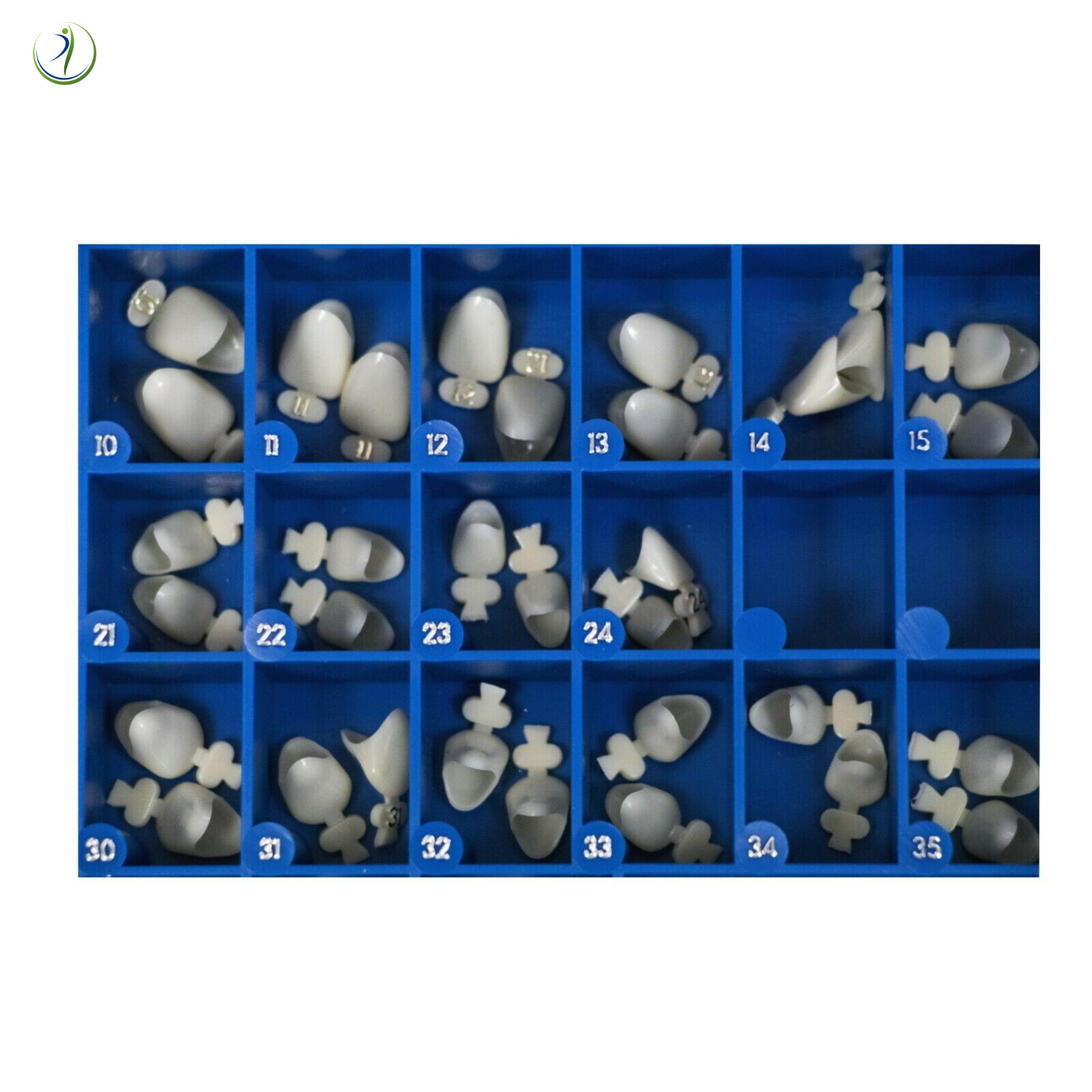 Dental Polycarbonate Temporary Crowns Kit Box of 180 Pcs Paper Guide Chart