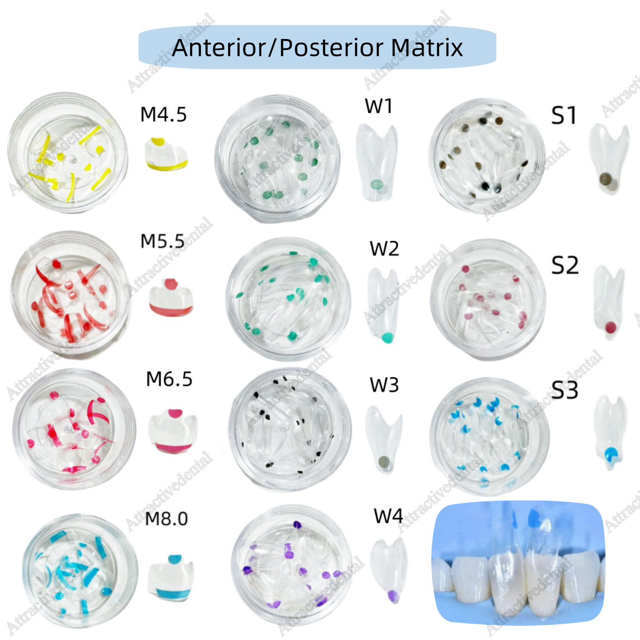 USA Clear Matrix Dental Anterior Posterior Transparent BT Matrices Fit BioClear