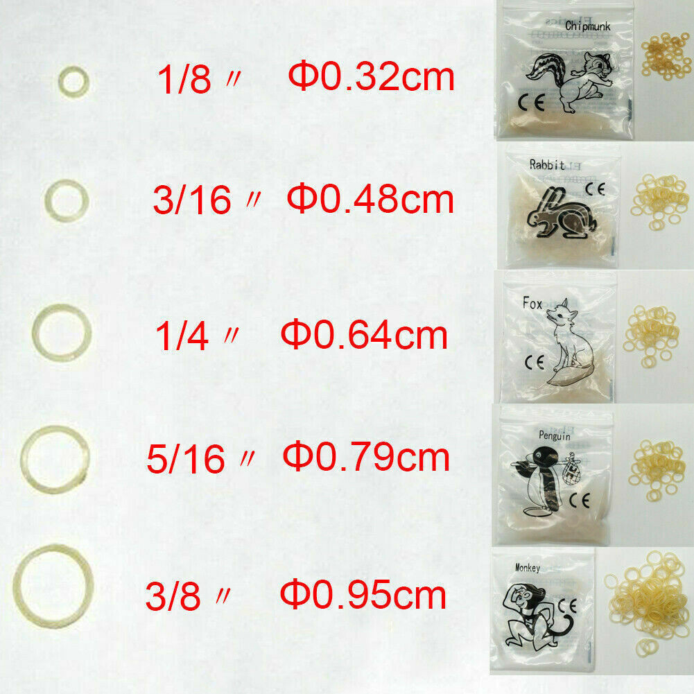Dental Orthodontic Rubber Bands Elastics Latex Braces 3.5/4.5/6.5Oz 100x/Bag