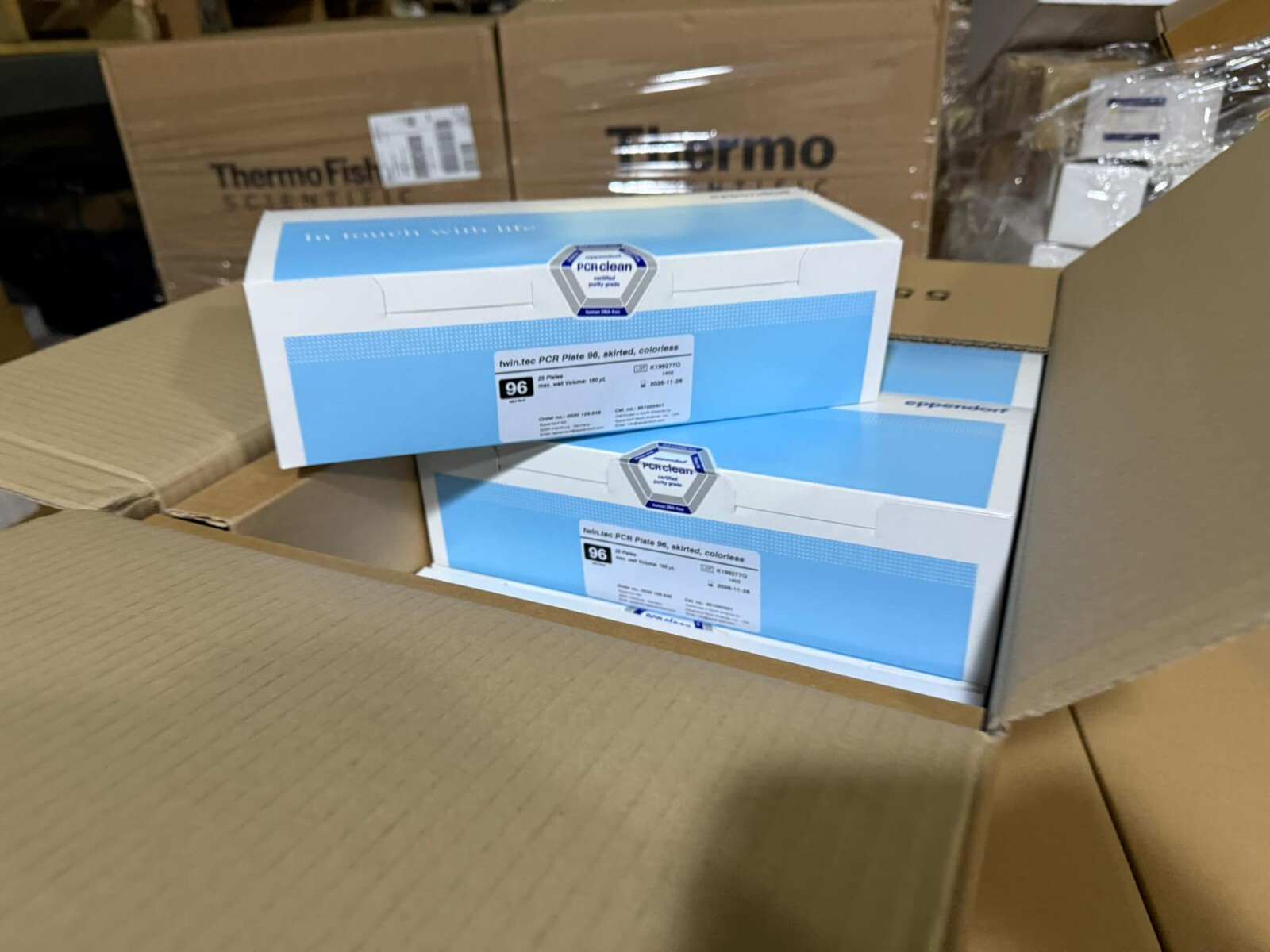 EPPENDORF Twin.tec 150µL PCR Plate 96 Skirted Colorless 951020401 Pack 25/cs/box