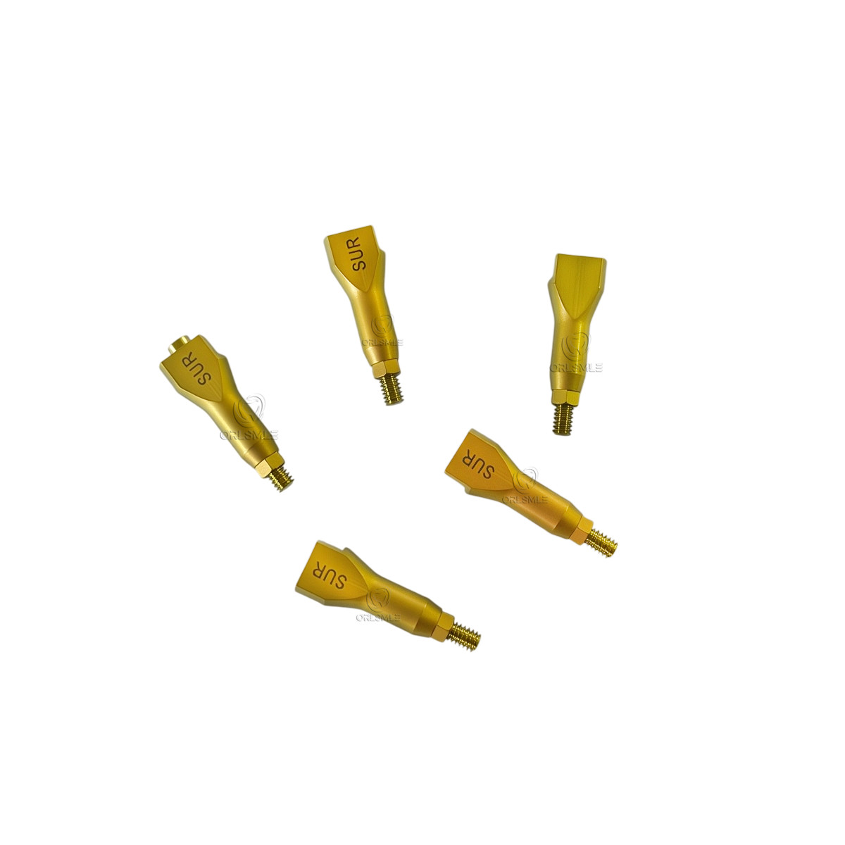 10pcs Hiossen Osstem GS/TS compatible Dental Scan Body cad/cam Mini Regular