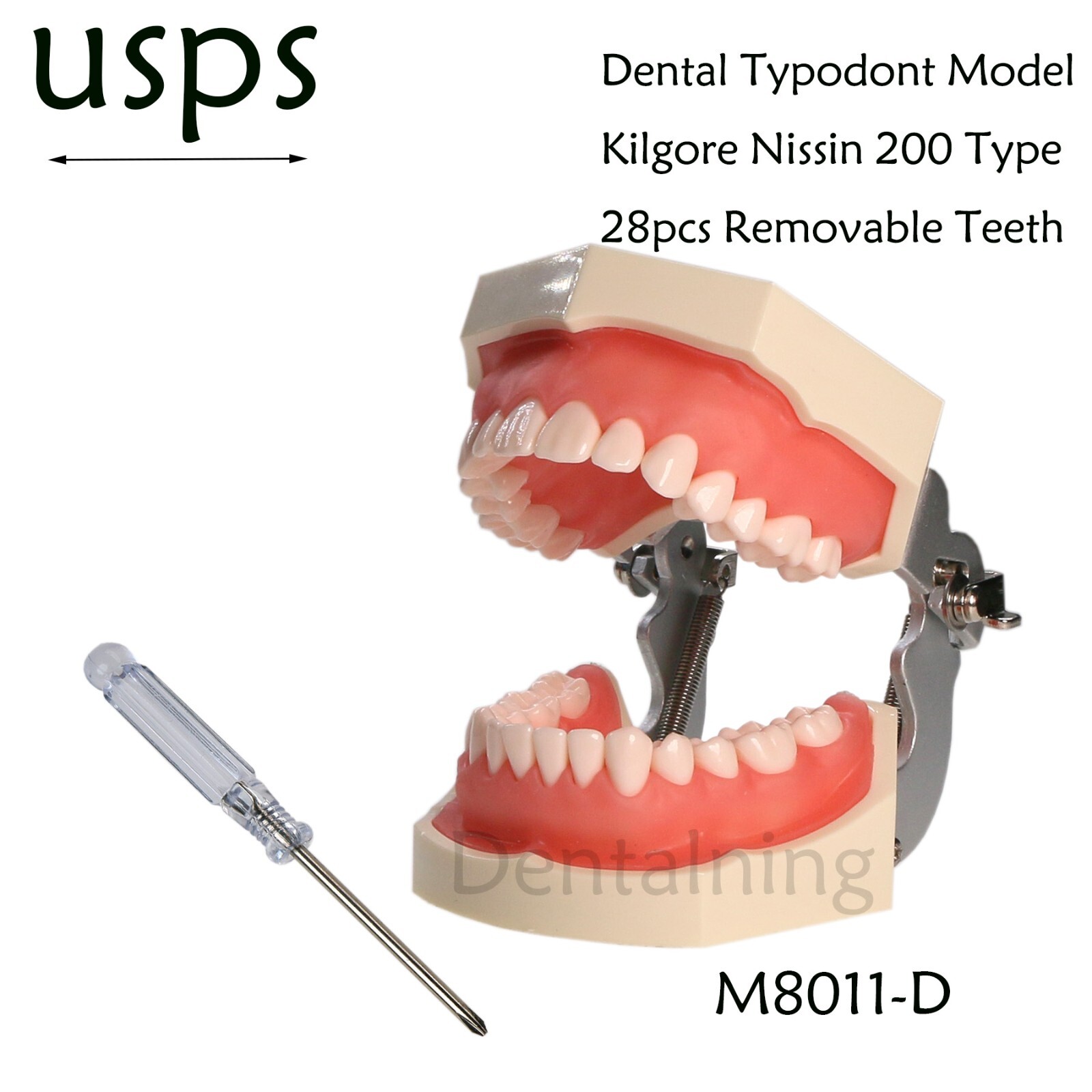 US Overdenture All-On-4/6 Implant /Ortho/Columbia 860/Kilgore NISSIN Teeth Model