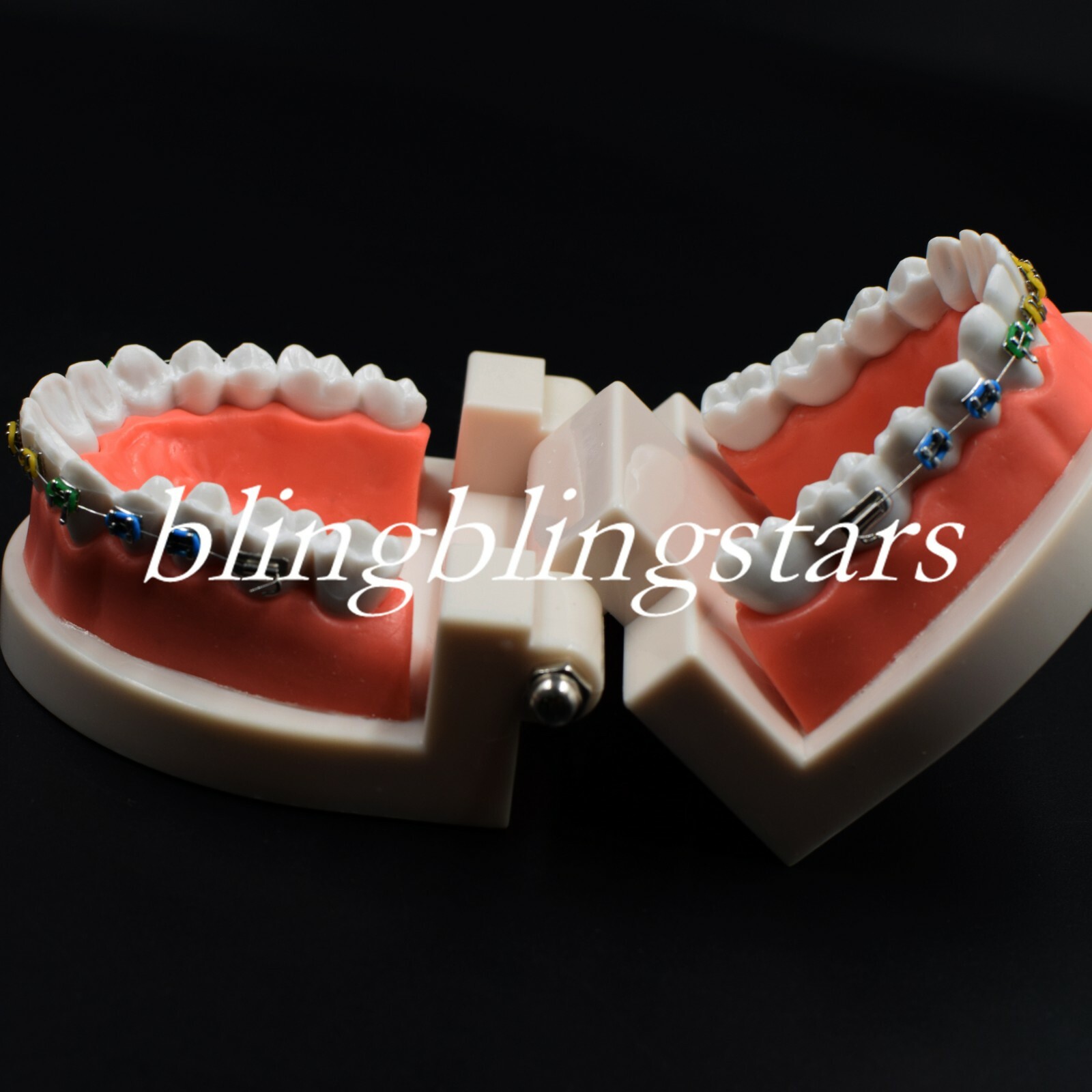 Dental Orthodontics Standard Tooth Model Bracket Ligature Buccal Tube Tie