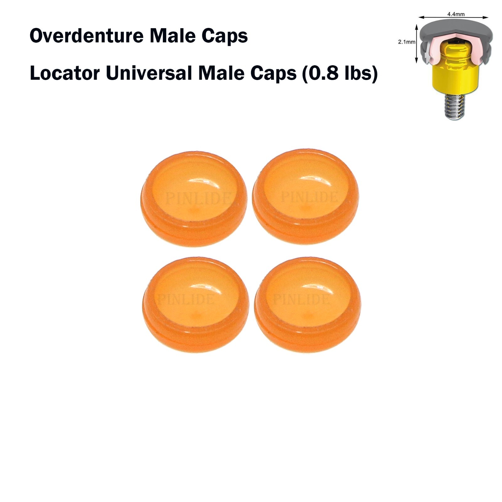 US Universal Dental Retention Male Caps 0.8lb 1.2lb 2.4lb Metal Housing
