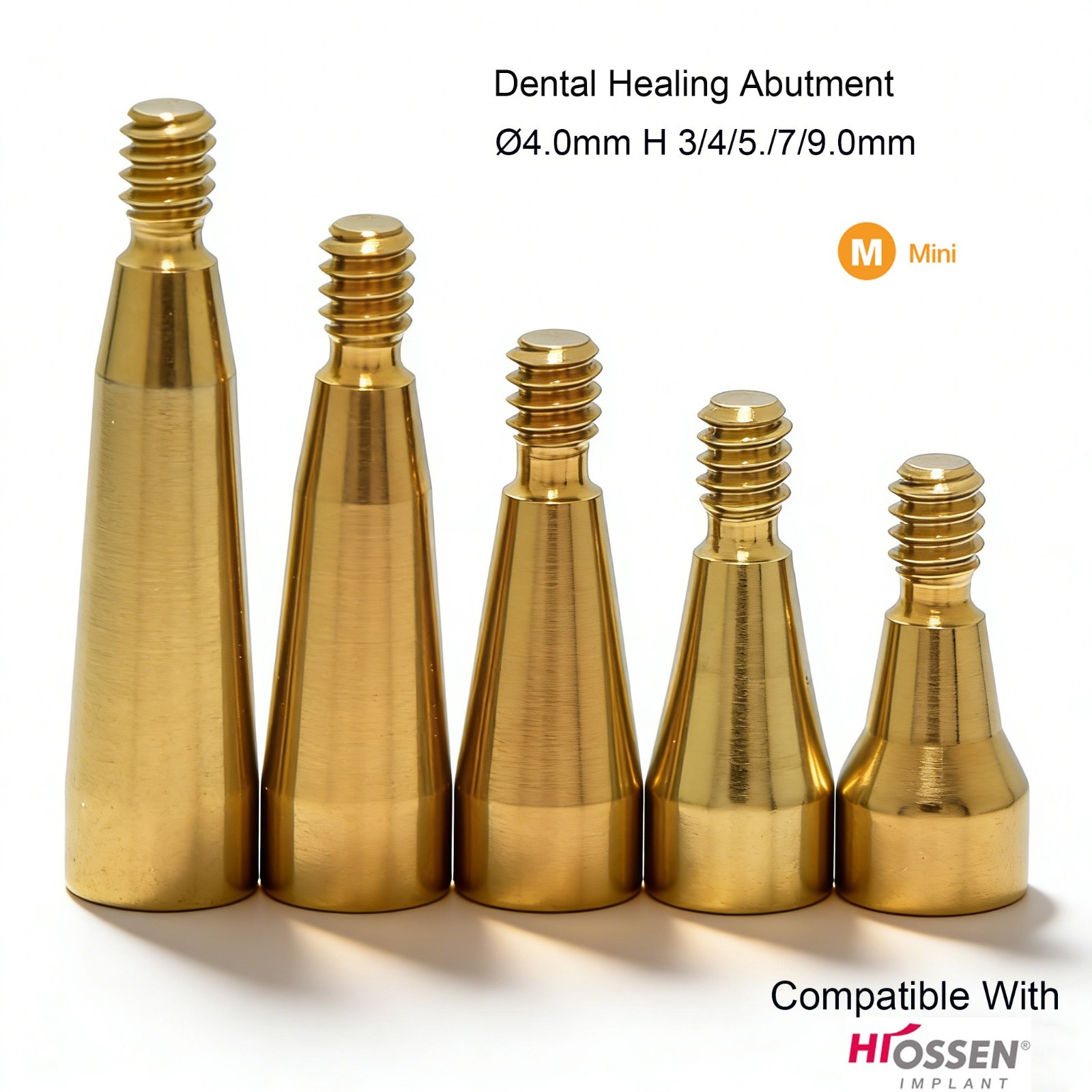 US Hiossen ET Dental Prosthetics Titanium All Implant Abutments fit Mini/Regular