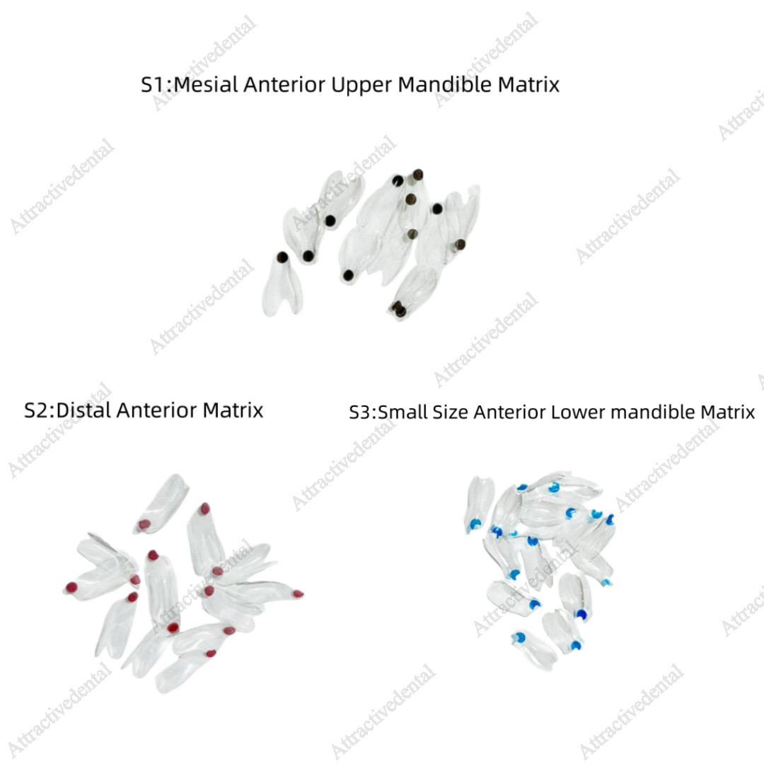 USA Clear Matrix Dental Anterior Posterior Transparent BT Matrices Fit BioClear