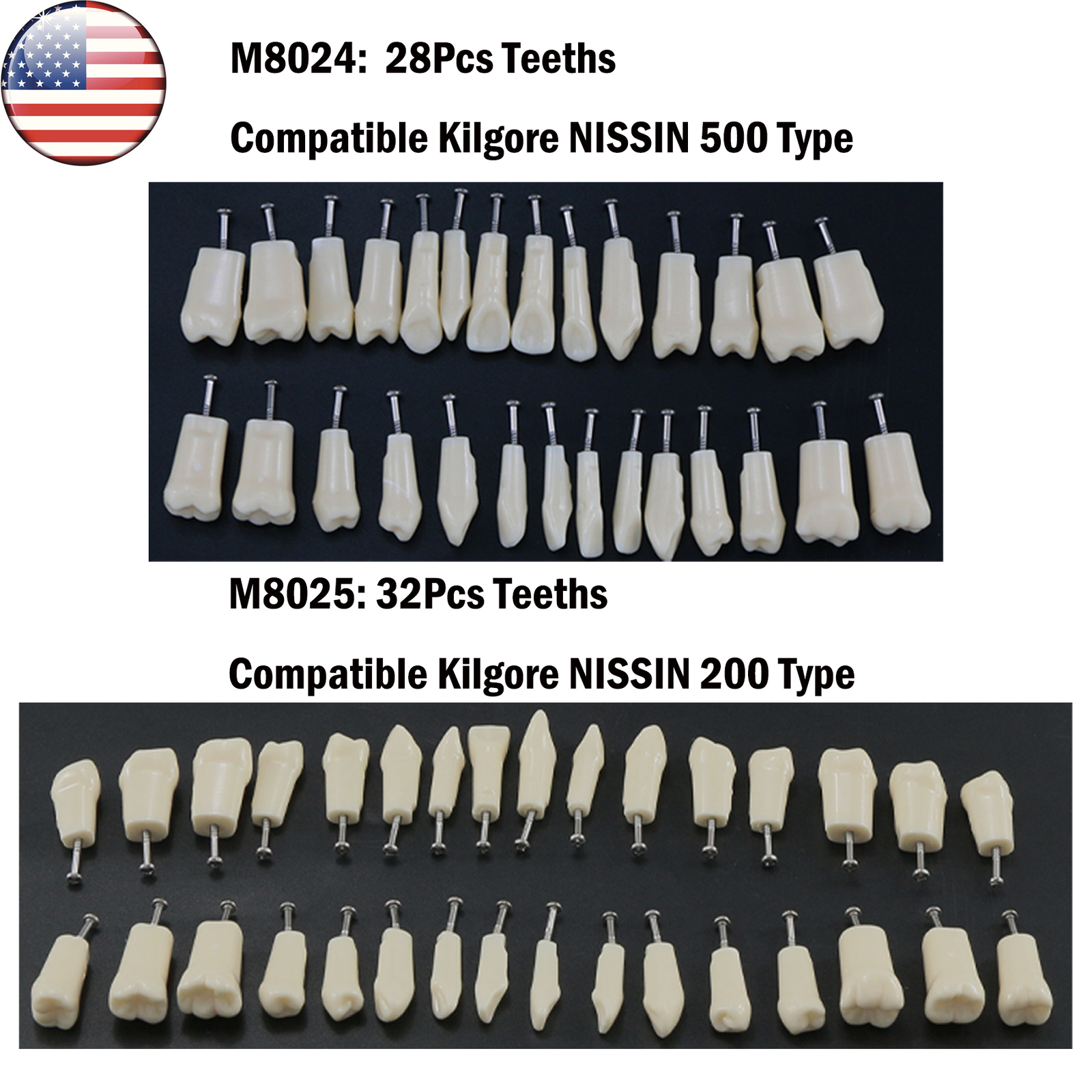 Dental Typodont Replacement Screw-in Teeth Model fits Kilgore NISSIN 200/500Type