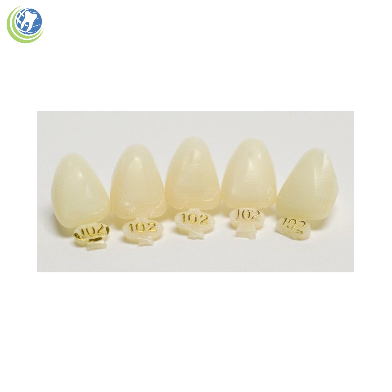 Tooth #9 Upper Left Central Anterior (ULC) Polycarbonate Temporary Crown Refills
