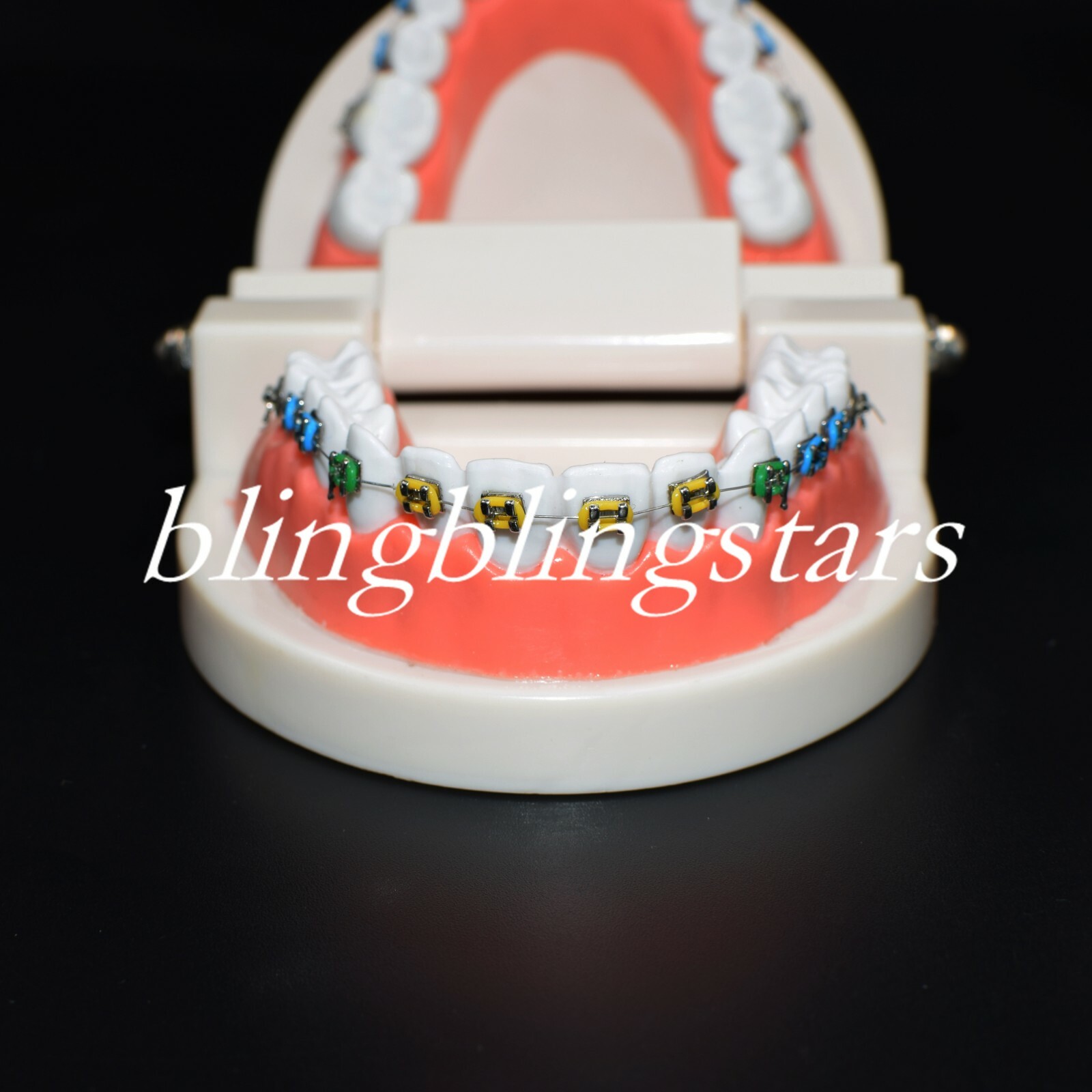 Dental Orthodontics Standard Tooth Model Bracket Ligature Buccal Tube Ties