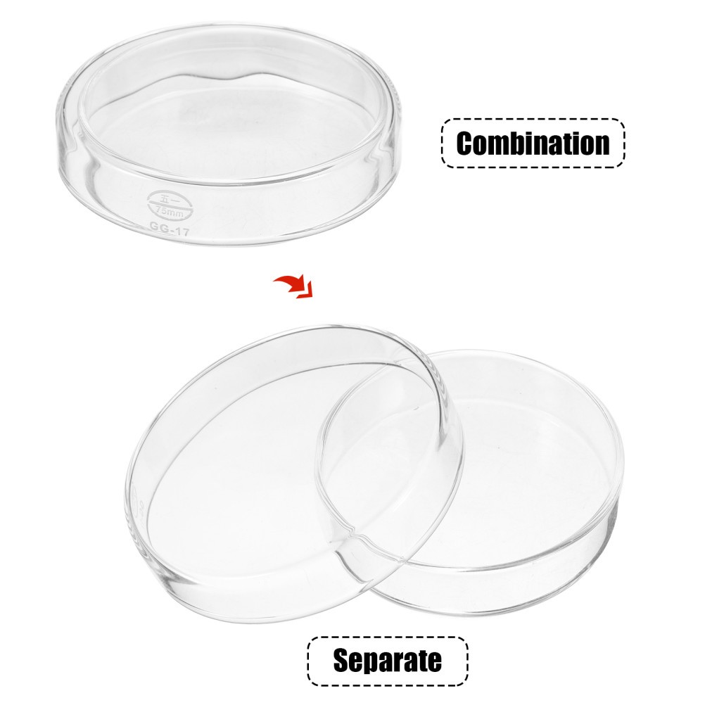 1 Set Transparent Glass Petri Dishes Bulk with Lids for Lab Use